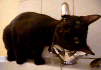 Thirsty