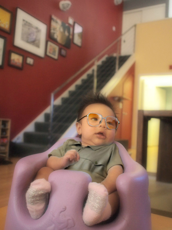 Mini Mao