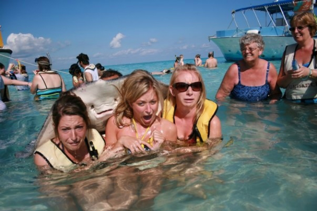 Stingray Photobomb