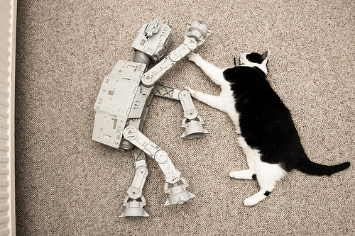 ATAT vs cat