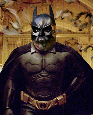 Batdog
