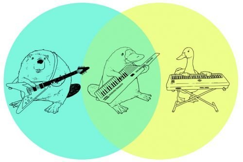 Beaver Duck Keetar