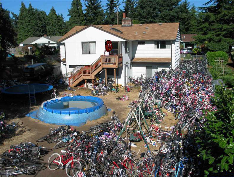 Suspected bike thief