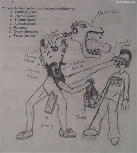 Biology exam answer