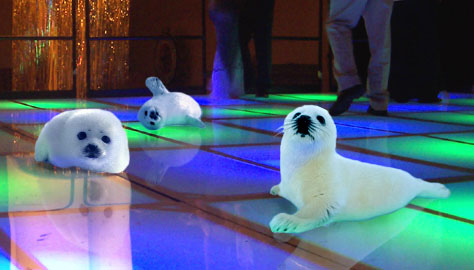 Lets go clubbing