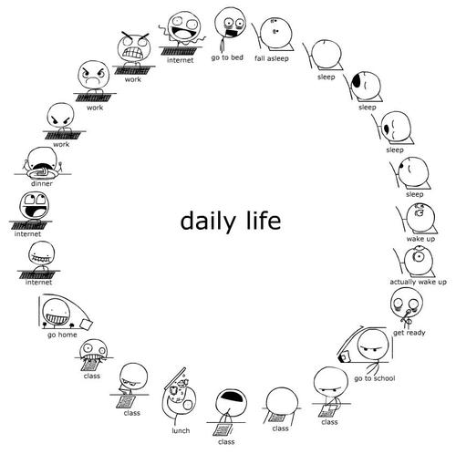 Daily life