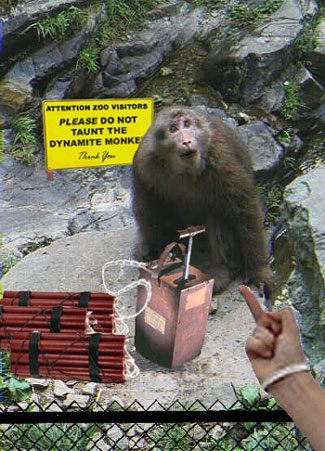Dynamite monkey