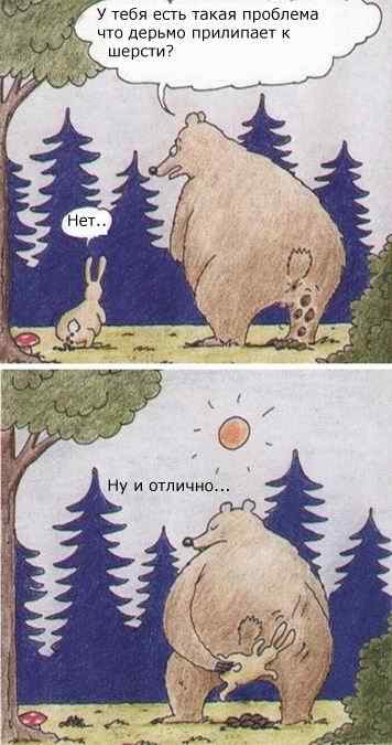Bear and rabbit