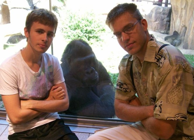 Gorilla Sup