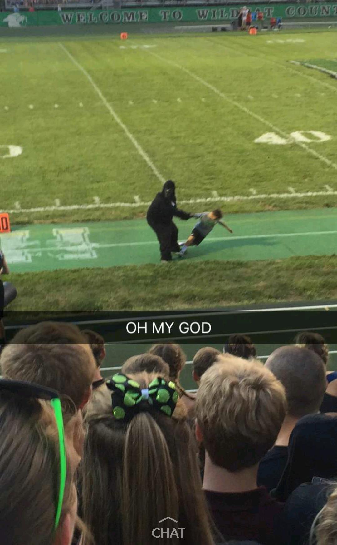Harambe