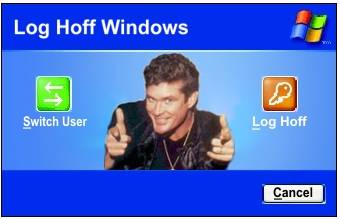 Hoff windows