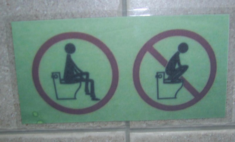 How to use a toilet