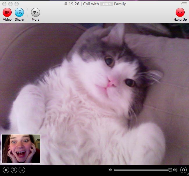 Kitty Chat