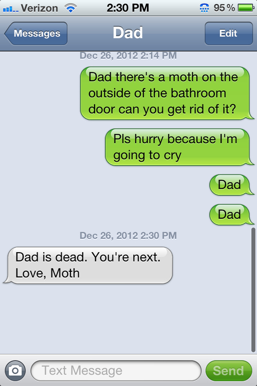 Moth