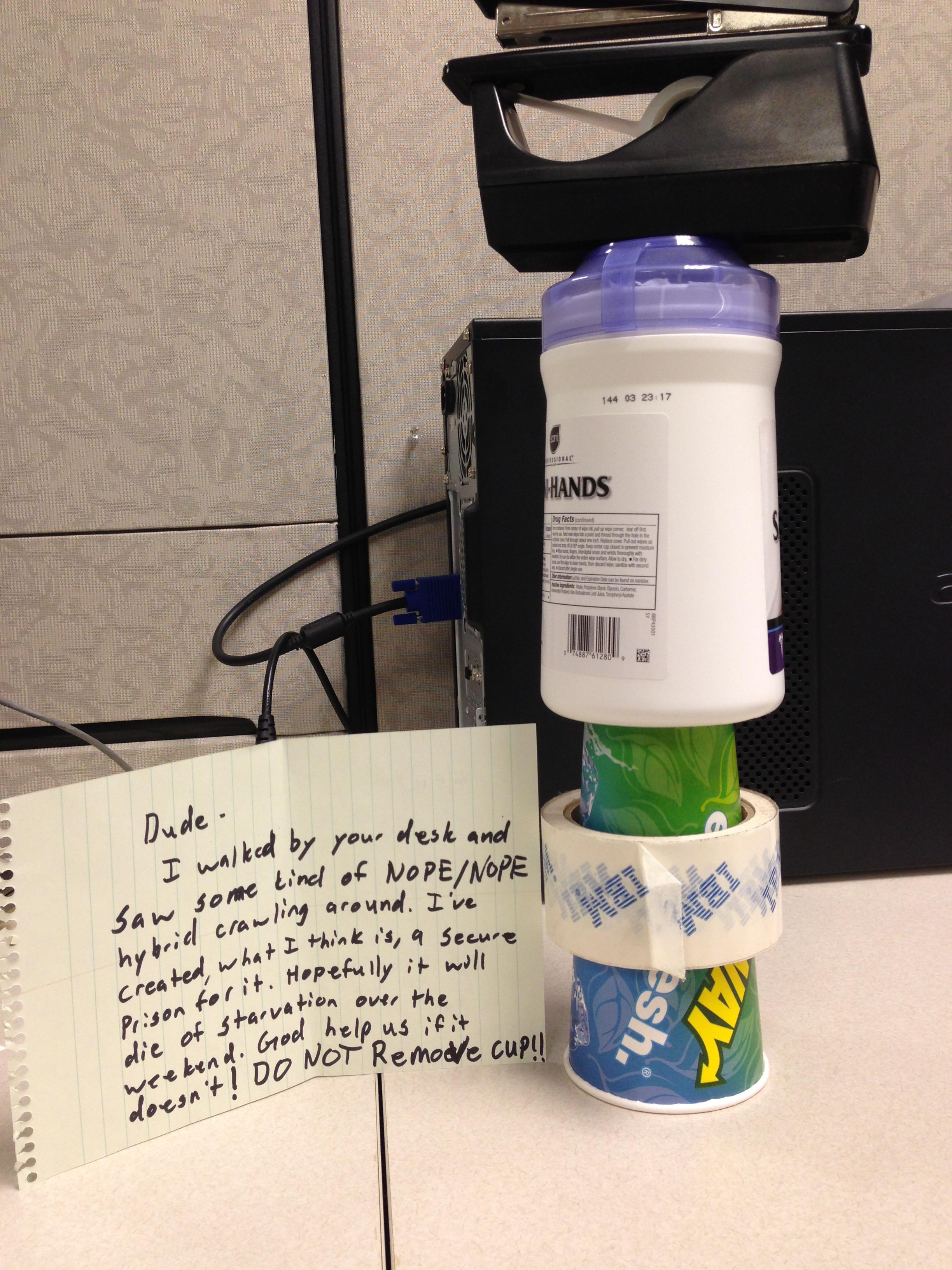 Cup Prank