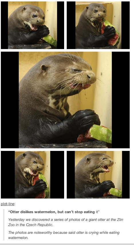 Ottermelon