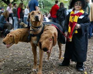Pet costumes 1