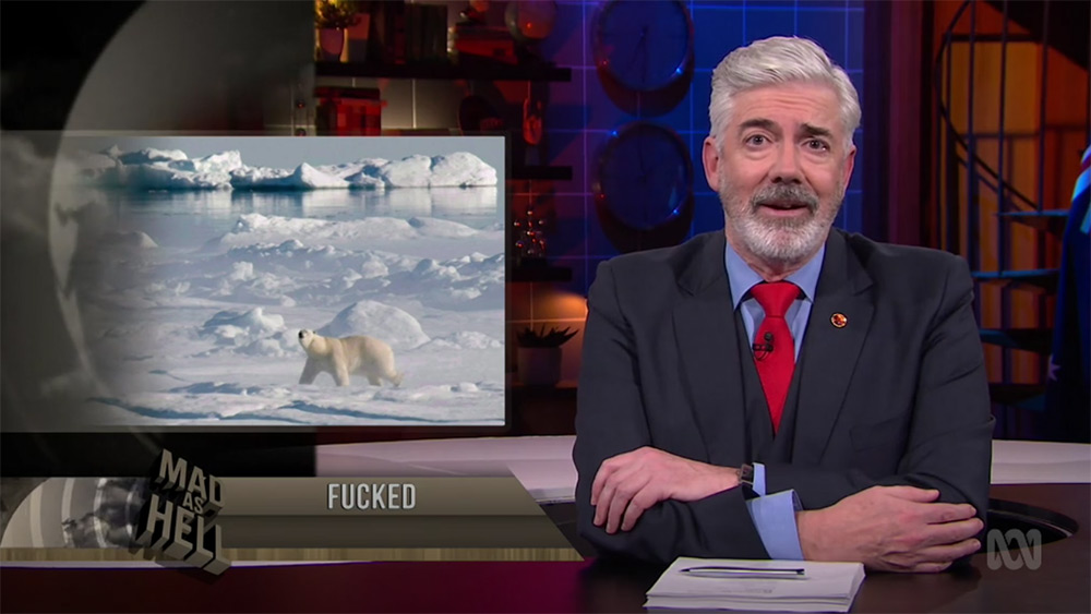 Polar Bears