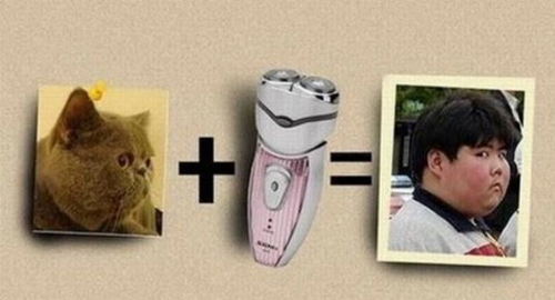 Shave