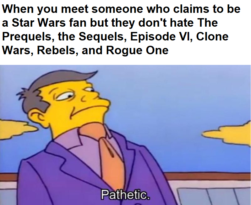Star Wars fan