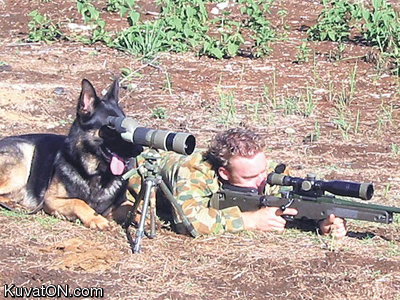 Teamwork