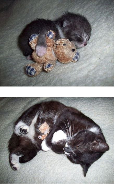 Then and Now