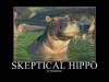 skeptical hippo