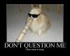 Don't question me
