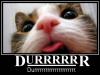 durrrrr