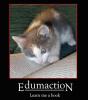 Edumacation