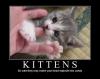Kittens