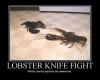 Lobster knife fight