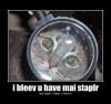 My stapler