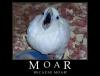 Moar