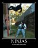 Ninjas
