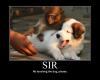 Sir, no touching the dog