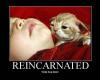 Reincarnated