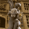 Bunny