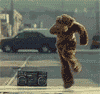 Dancing bear