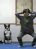 Exercise Dog