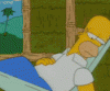 Homer frog lick