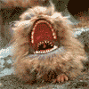 Labyrinth dog