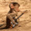 Monkey jam