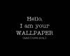 Wallpaper Loves You 900x720