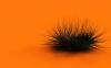 Orange Chaos 1280x800
