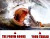 Forum vs You