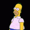 Hiding Homer