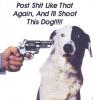 Post again and I shoot