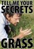 Tell me your secrets grass