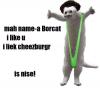 BORcAT